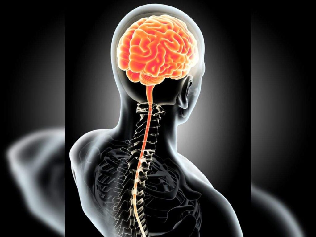 samayam tamil Thedalweb நரம்பு தளர்ச்சி நோய் பூரணமாக குணமடைய உண்ண‌ வேண்டிய இயற்கை உணவுகள்!