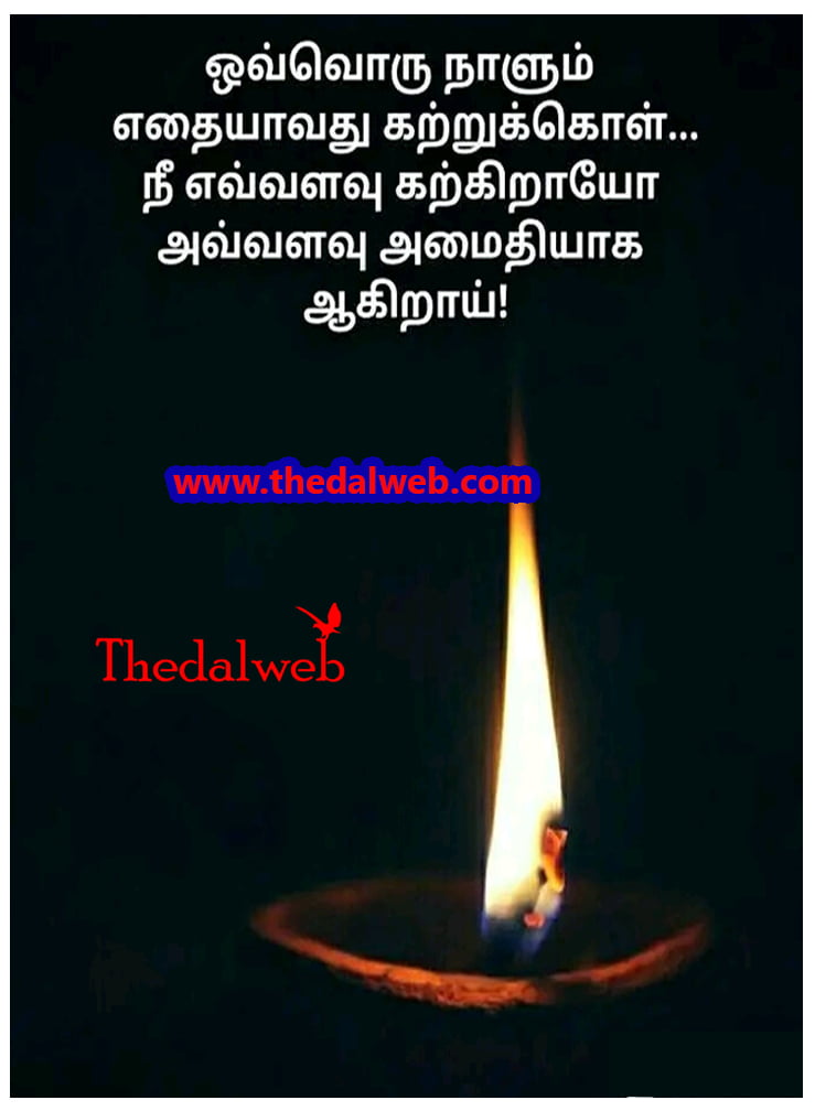 31 Thedalweb வாட்ஸ் அப் ஸ்டேட்டஸ்களை காண இதோ இங்கே வாருங்கள்