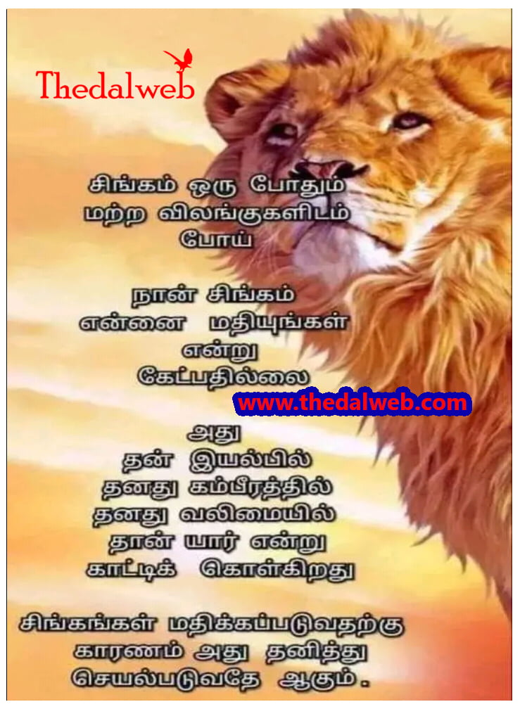 32 Thedalweb வாட்ஸ் அப் ஸ்டேட்டஸ்களை காண இதோ இங்கே வாருங்கள்