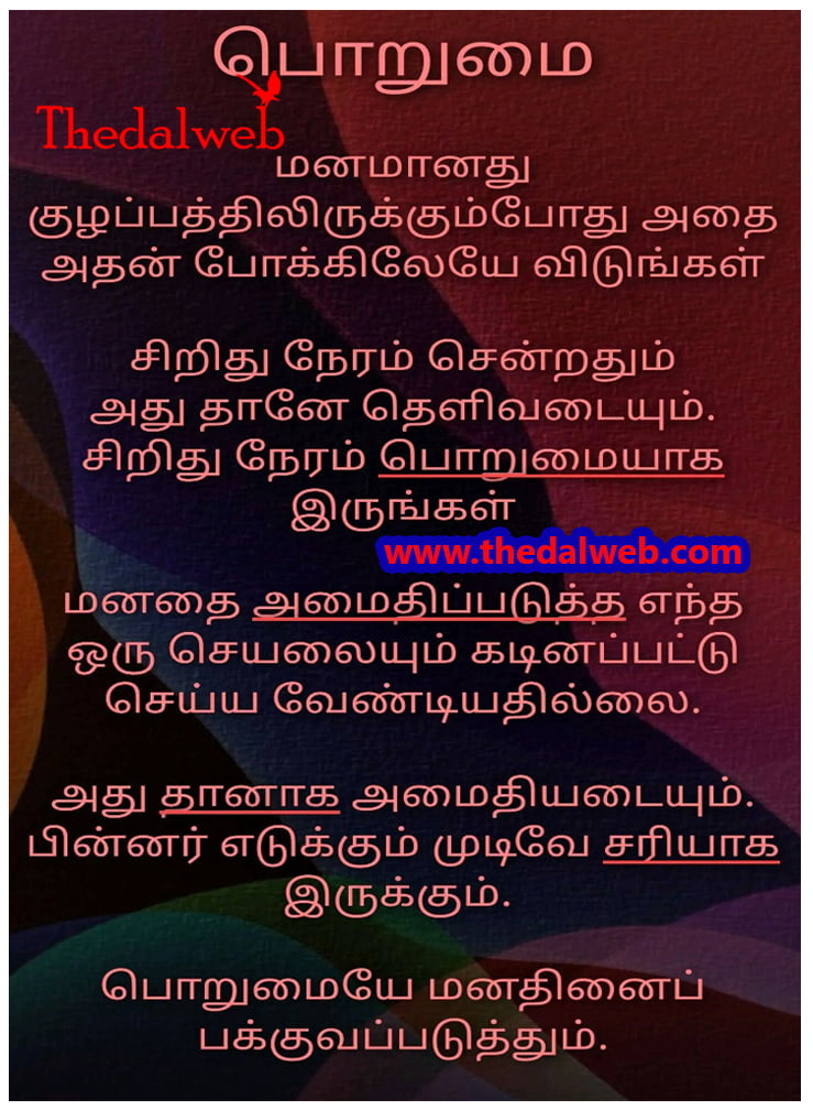 33 Thedalweb வாட்ஸ் அப் ஸ்டேட்டஸ்களை காண இதோ இங்கே வாருங்கள்