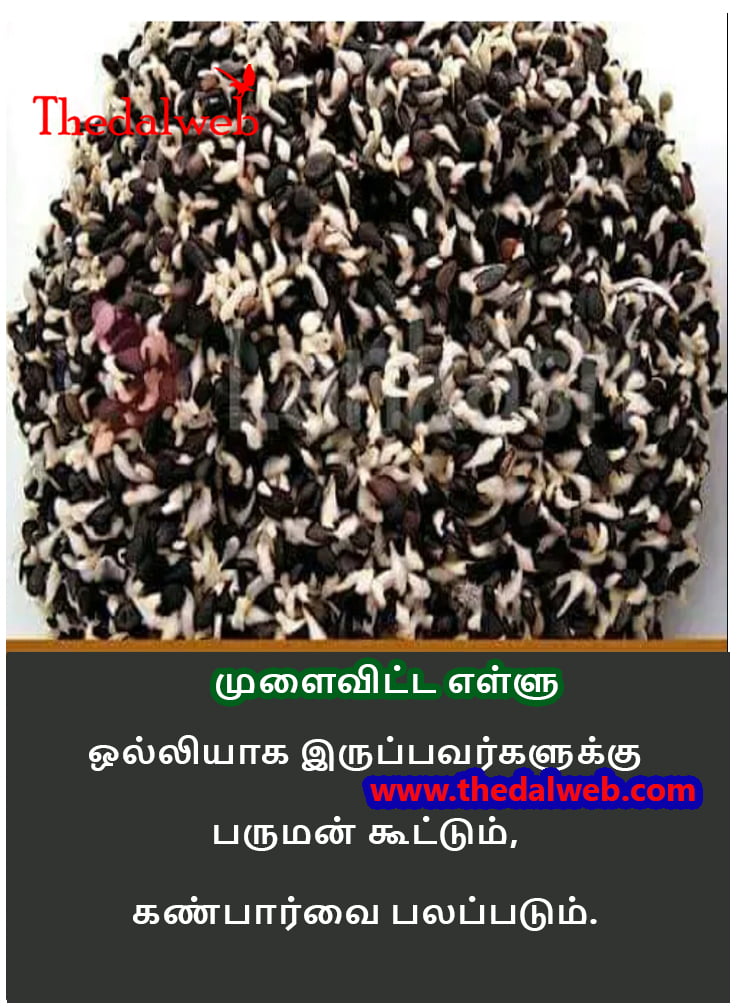 34 Thedalweb வாட்ஸ் அப் ஸ்டேட்டஸ்களை காண இதோ இங்கே வாருங்கள்