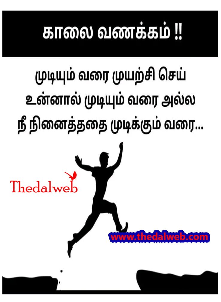 35 Thedalweb வாட்ஸ் அப் ஸ்டேட்டஸ்களை காண இதோ இங்கே வாருங்கள்