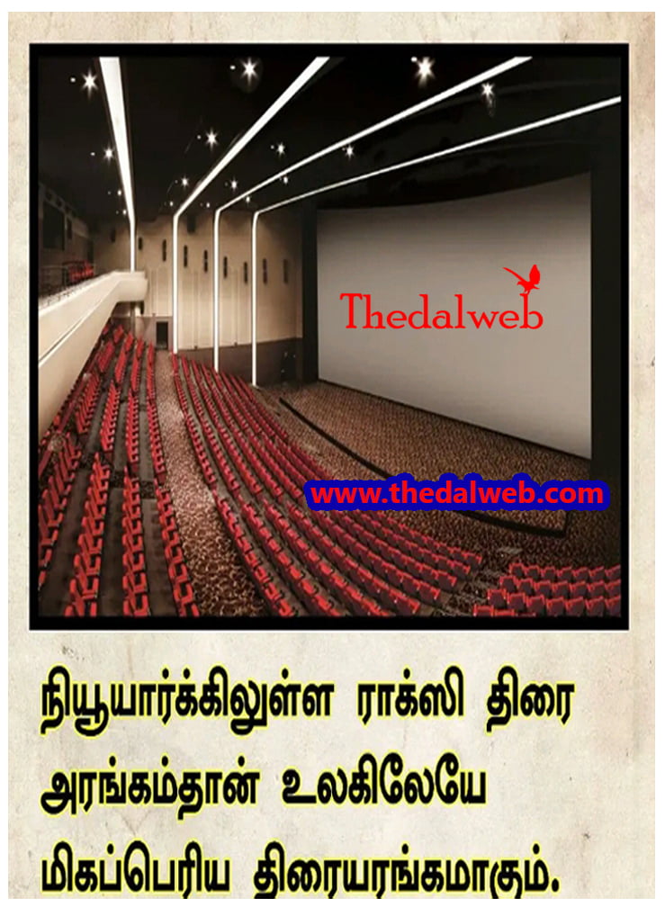 36 Thedalweb வாட்ஸ் அப் ஸ்டேட்டஸ்களை காண இதோ இங்கே வாருங்கள்