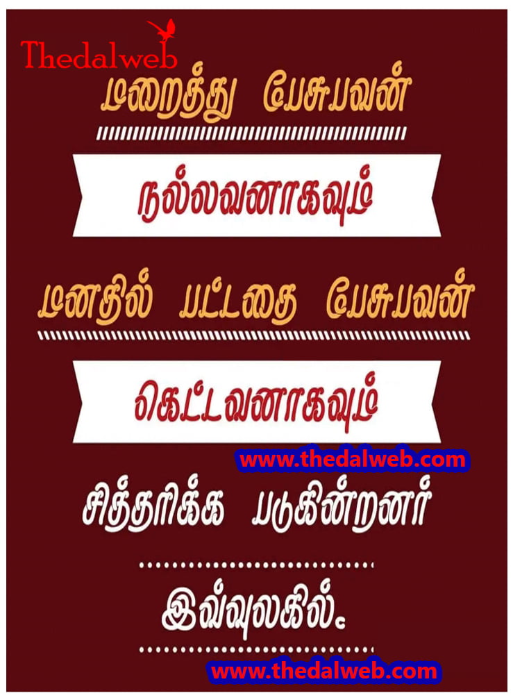 37 Thedalweb வாட்ஸ் அப் ஸ்டேட்டஸ்களை காண இதோ இங்கே வாருங்கள்