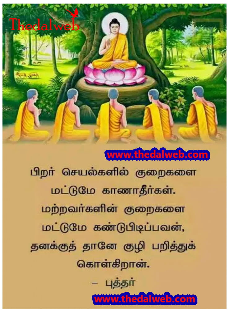 38 Thedalweb வாட்ஸ் அப் ஸ்டேட்டஸ்களை காண இதோ இங்கே வாருங்கள்