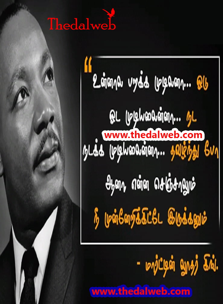 39 Thedalweb வாட்ஸ் அப் ஸ்டேட்டஸ்களை காண இதோ இங்கே வாருங்கள்