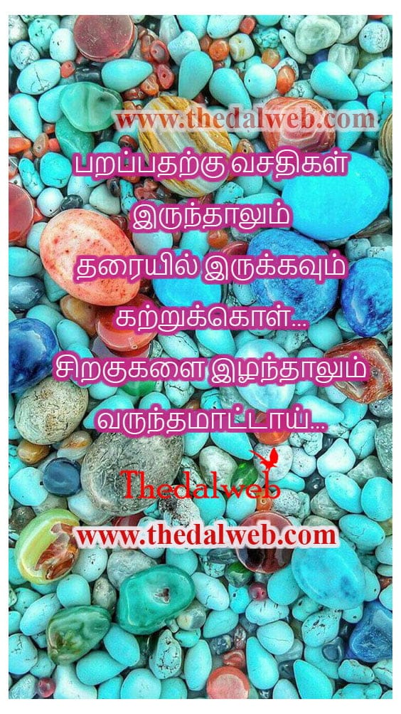 Motivation quote04 1 Thedalweb Motivational Quotes in Tamil