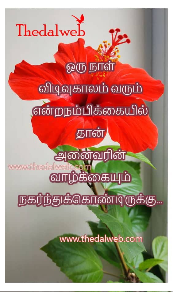Motivation quote08 1 Thedalweb Motivational Quotes in Tamil