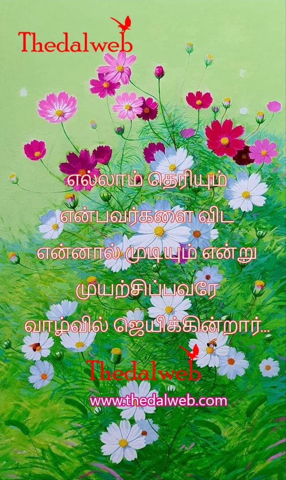 Motivation quote09 1 Thedalweb Motivational Quotes in Tamil