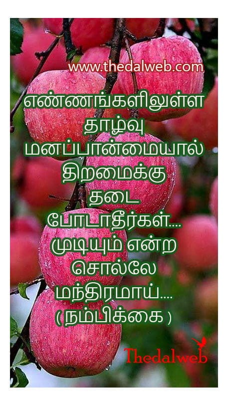 Motivation quote12 Thedalweb Motivational Quotes in Tamil