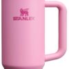 Stanley Quencher H2.0 FlowState Stainless Steel Vacuum Insulated Tumbler with Lid and Straw for Water, Iced Tea or Coffee, Smoothie and More, Peony, 30oz